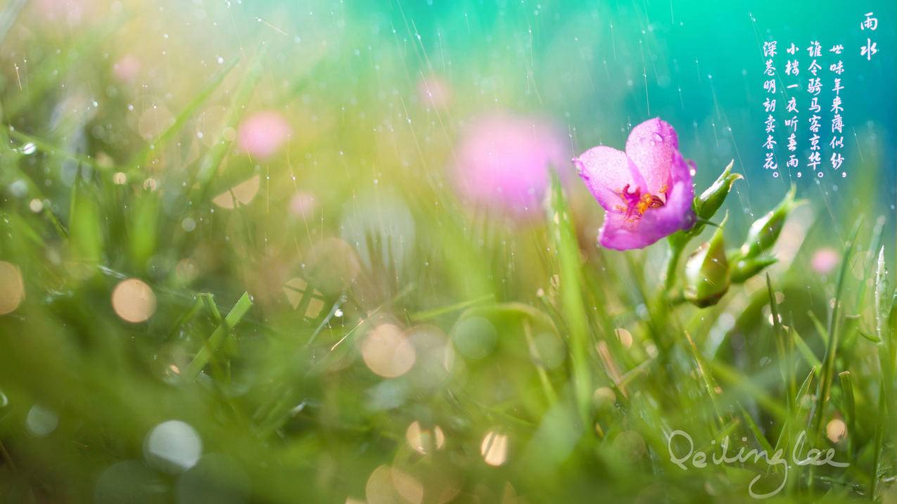 台湾appleid受信任电话号码移除不了_更改appleid信任电话号码 - 台湾苹果ID - 55dz账号网