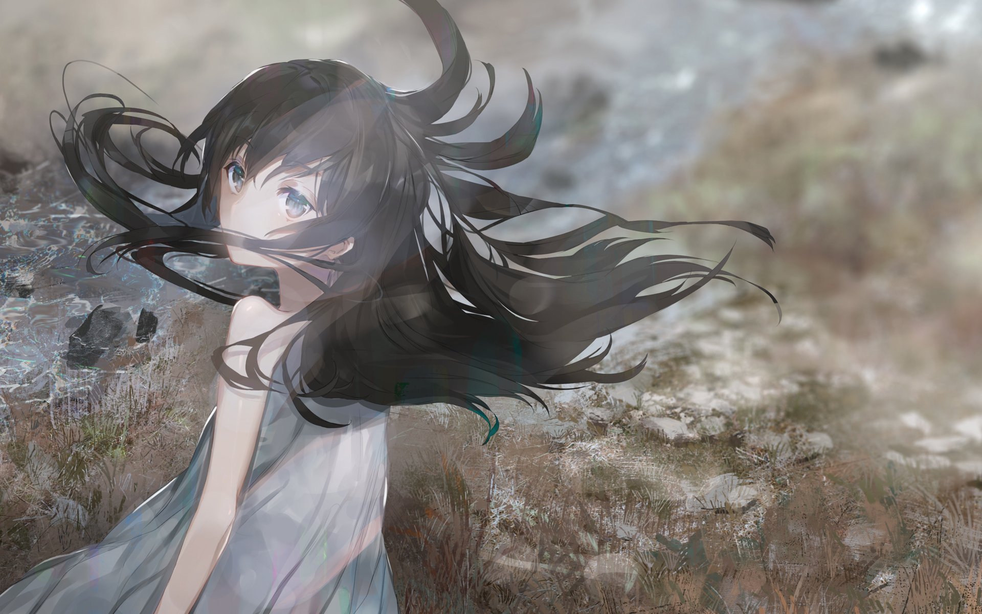 为什么我的小火箭打不开  ( 小火箭打不开 ) - 55dz账号网