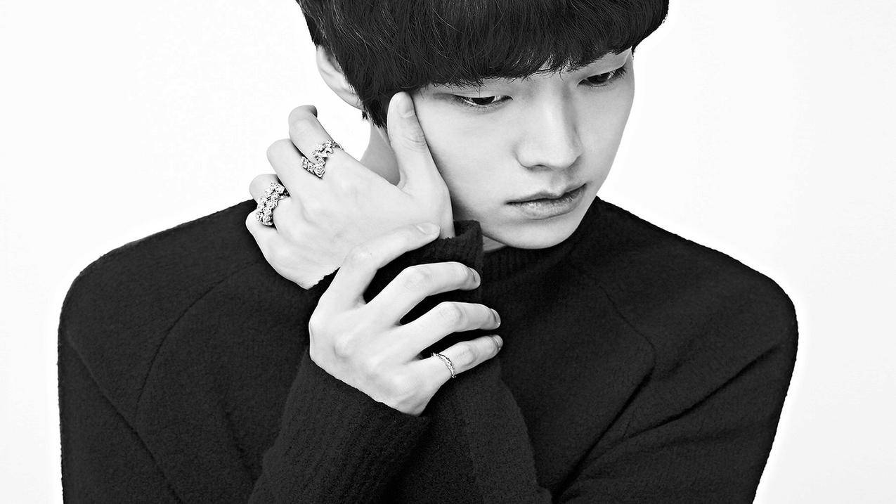 zoom为什么注册不了账号_zoom为啥不能注册 - zoom相关 - 55dz账号网