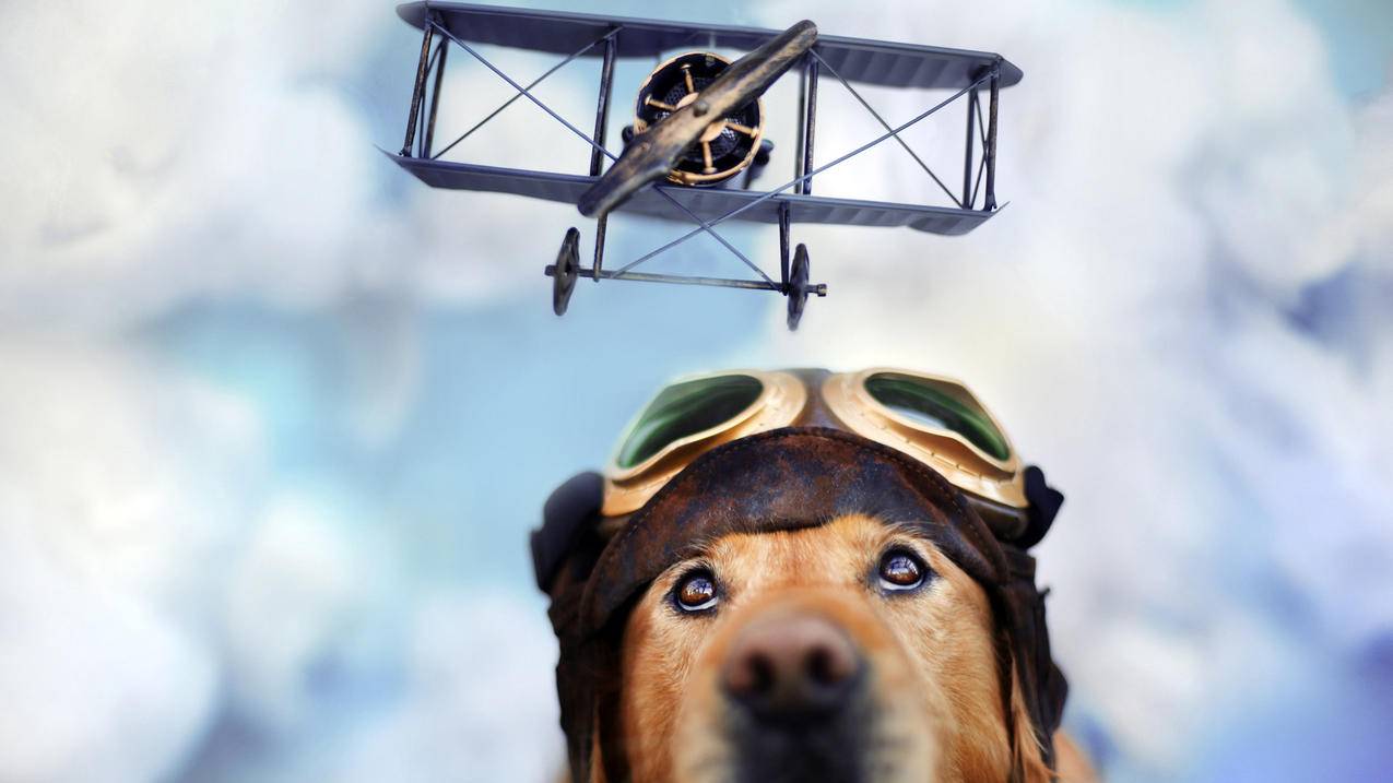 skype点数等于多少分钟_购买skype点数 - skype相关 - 55dz账号网