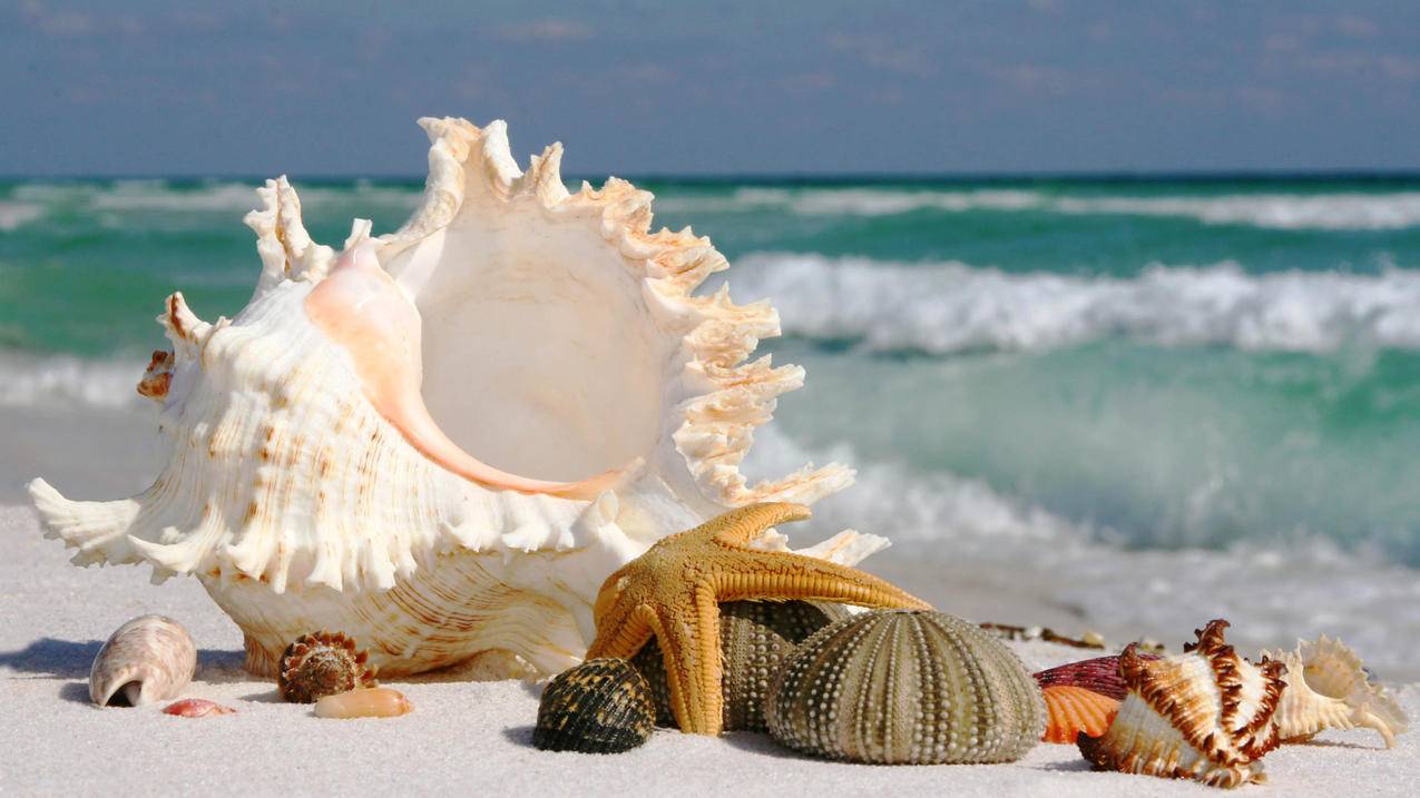 国内如何安装facebook_国内如何安装YouTube - facebook相关 - 55dz账号网