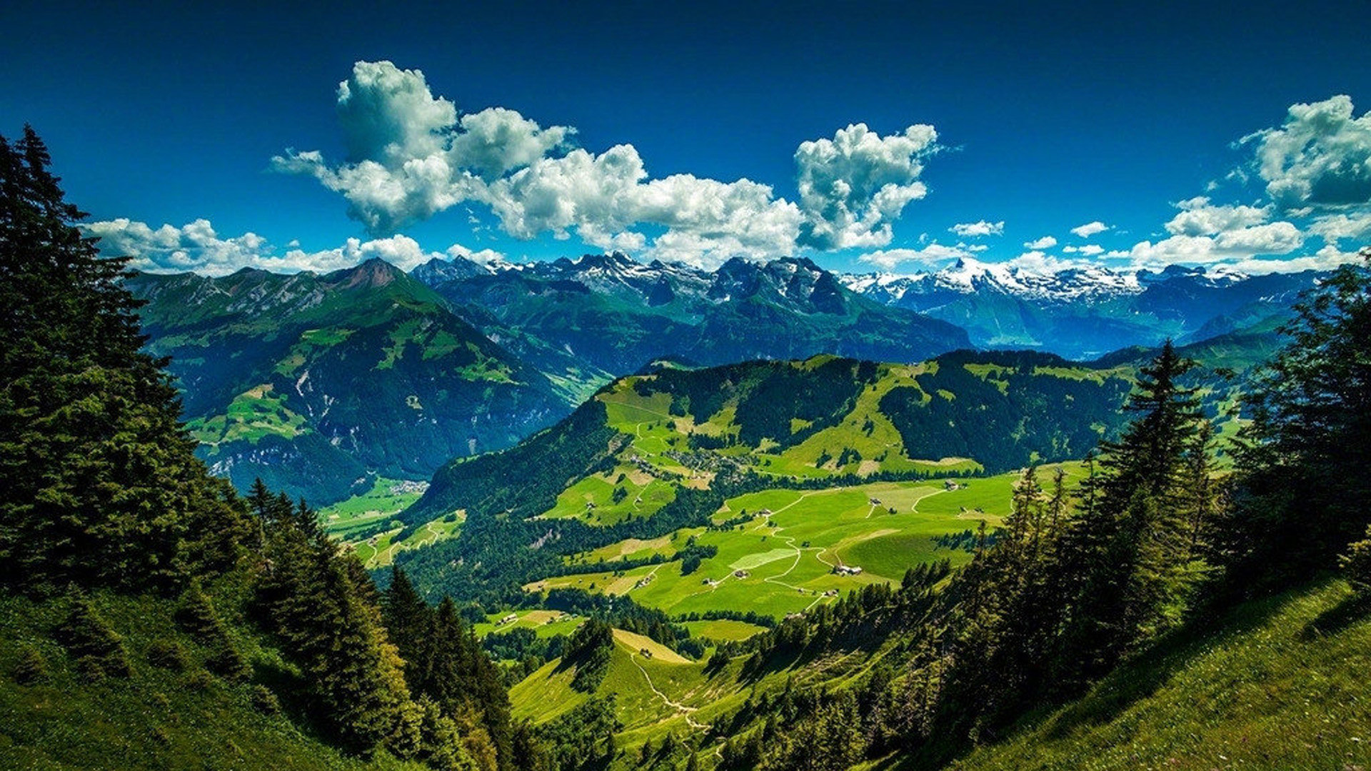 金钟国的油管频道在线观看_金钟国广播 - youtube相关 - 55dz账号网