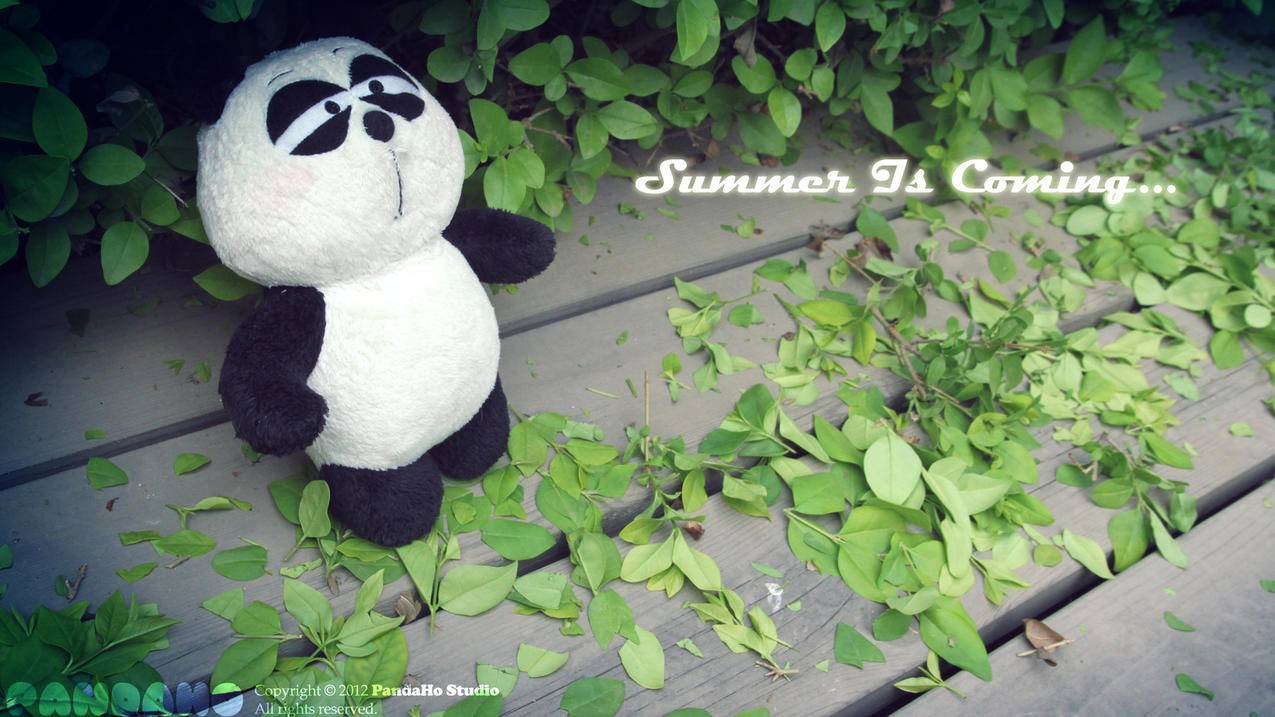 全国网络节点_中心节点是什么网络 - 注册外服方法 - 55dz账号网