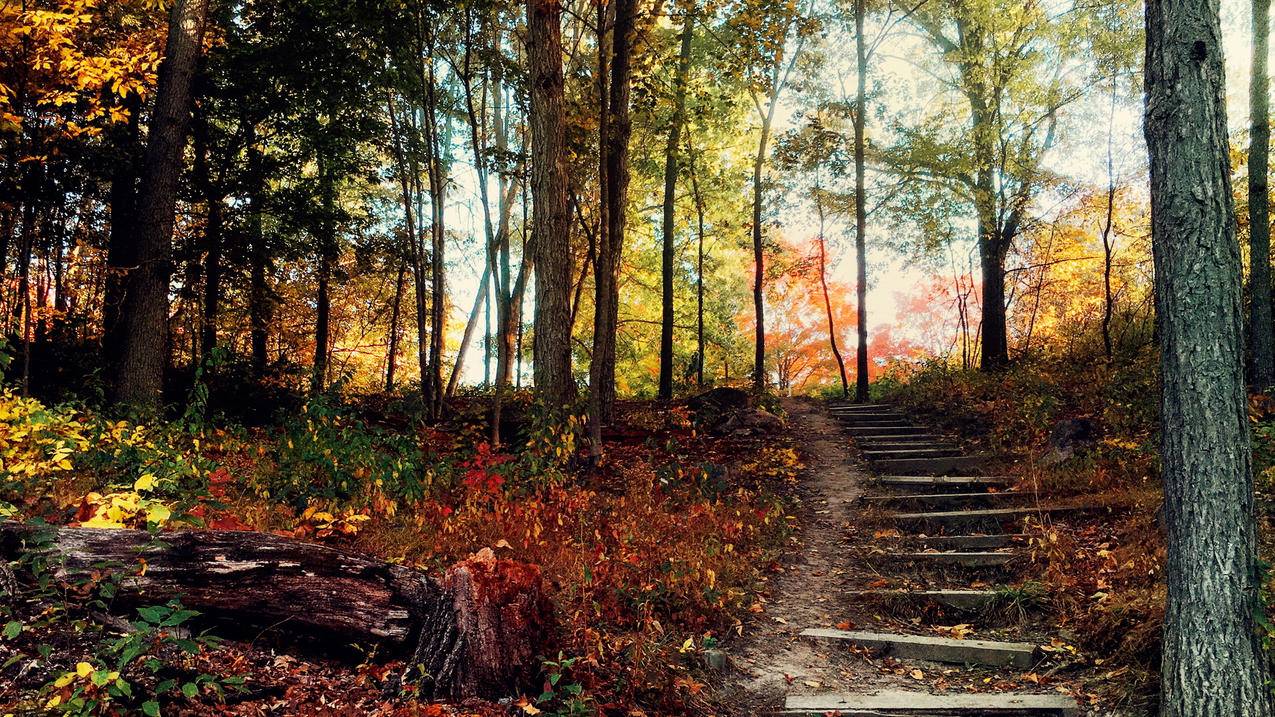 macbook无法登录appleid_macbook无法登录icloud - 各区苹果ID - 55dz账号网