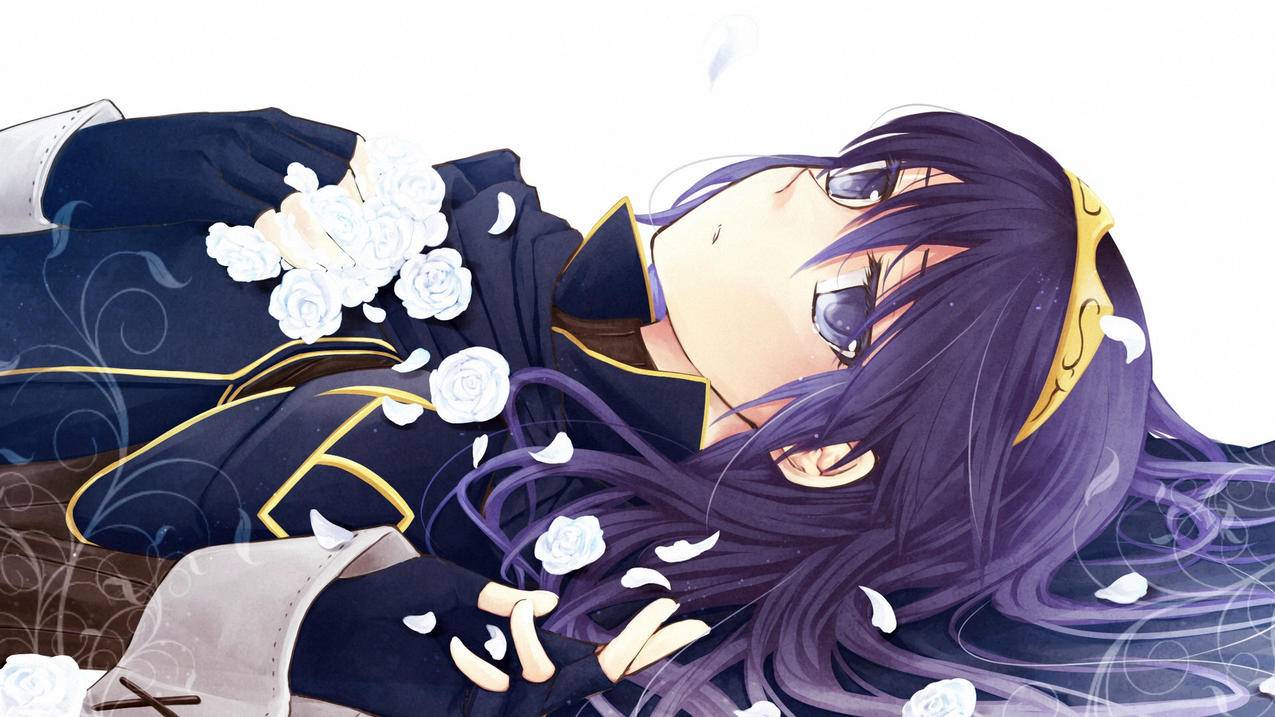 百度qq邮箱注册申请_百度账号邮箱注册 - gmail相关 - 55dz账号网