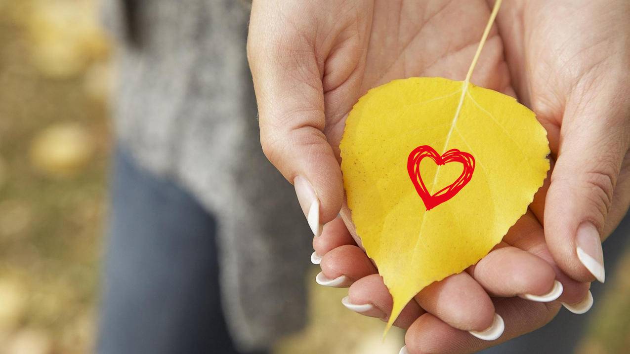 苹果快抄作业！最完美的魔改iPhone来了：你要的功能全都有 - Apple ID相关 - 55dz账号网