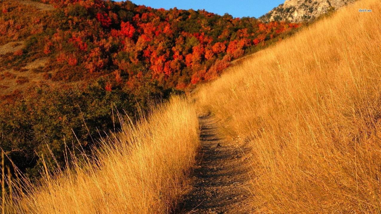 王者荣耀特殊符号 - 抖音刷赞 q探,快手作品刷赞秒到