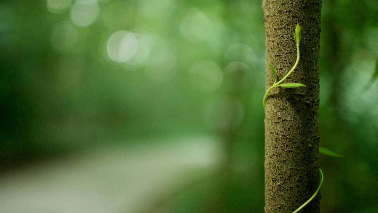 怎样查苹果手机美国appleid账号和密码_苹果怎么查找账号密码 - 美国苹果ID - 55dz账号网