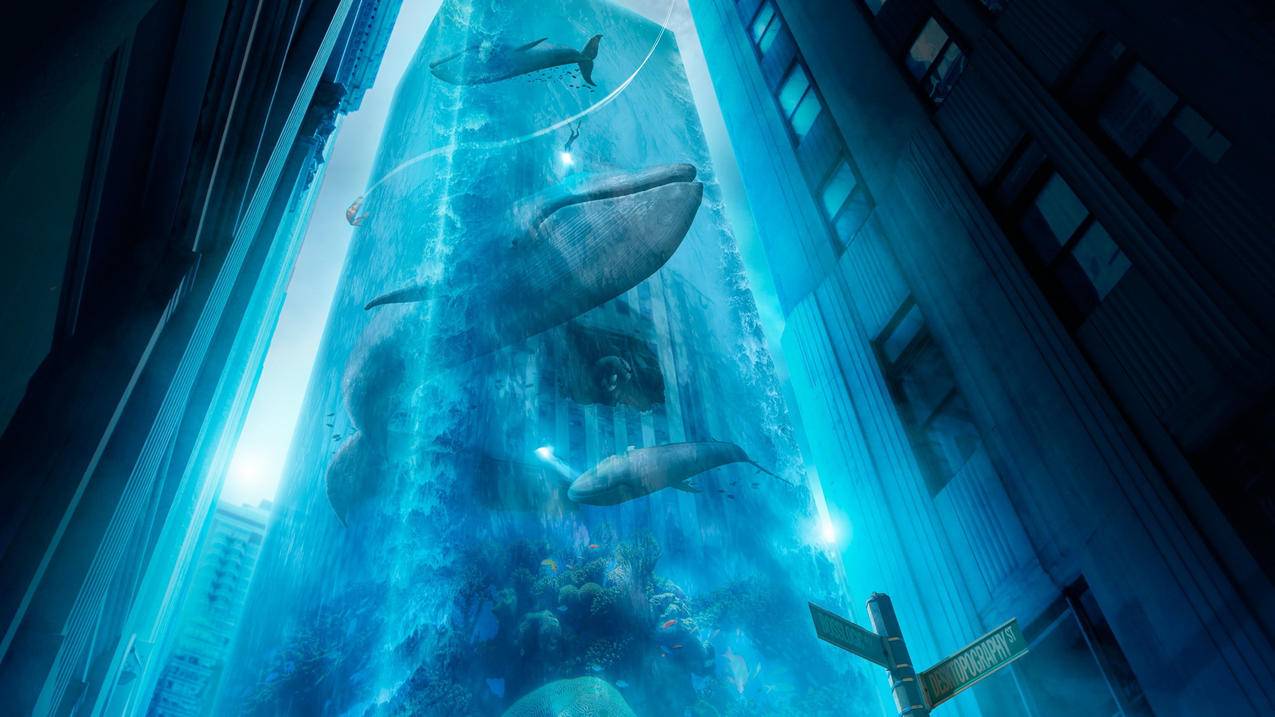 为什么我的youtube看不了视频?  ( 求这张图片上的翻译 ) - 55dz账号网