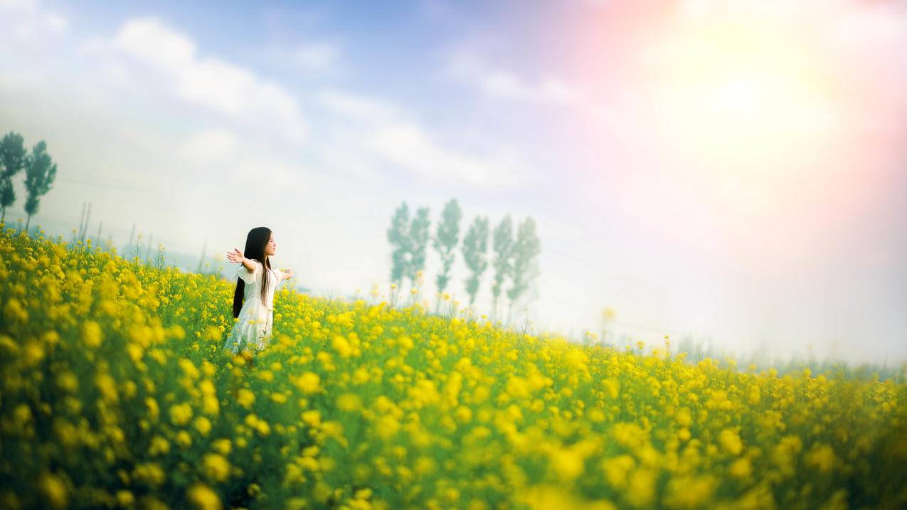 运维工程师培训多少钱 - ks自助下单 - ks业务下单