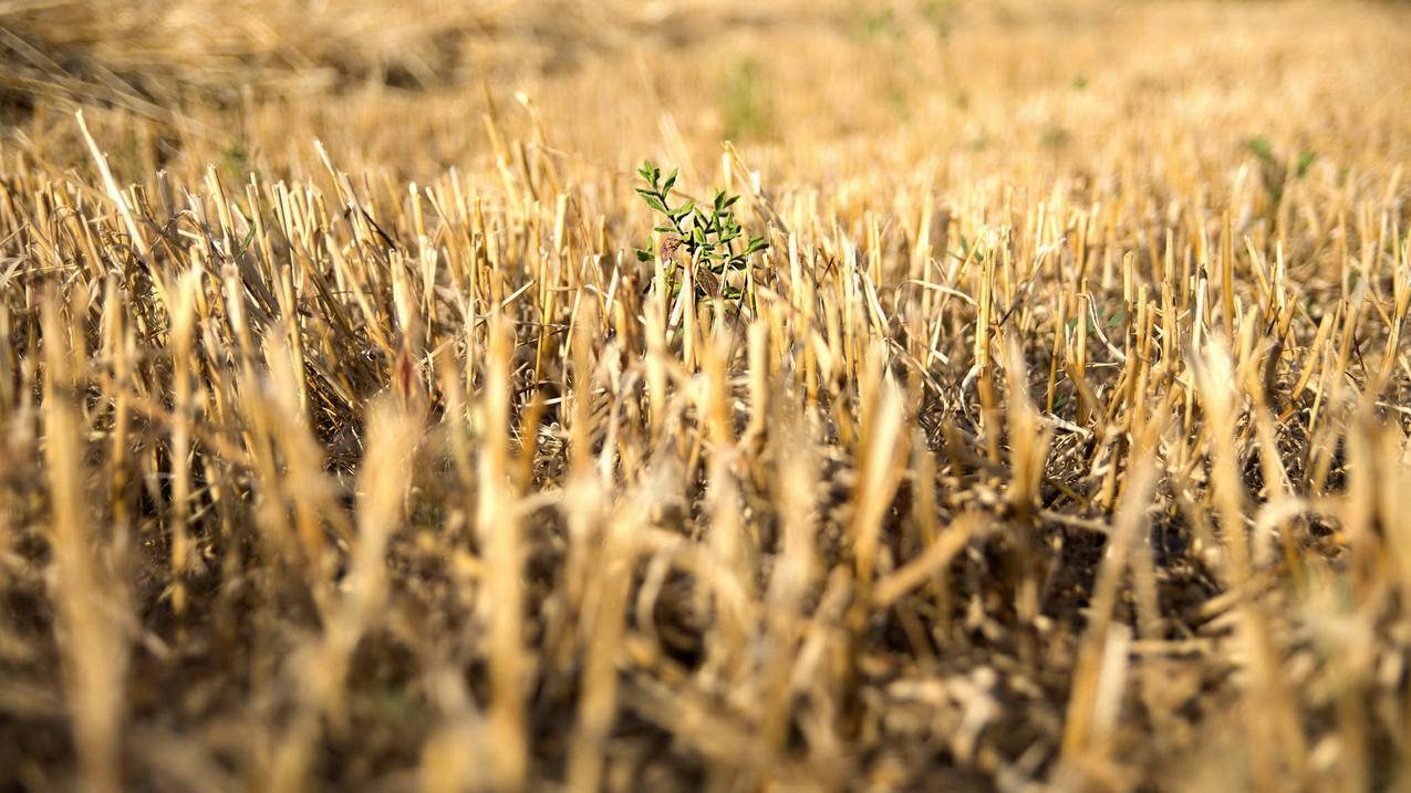 如何使用shadow socks加速器?  ( 安卓小火箭怎么添加节点 ) - 55dz账号网