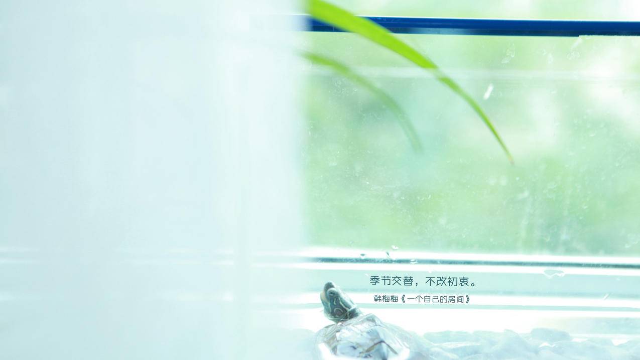 见证历史！1欧元=1美元，欧元会持续跌吗？ - Apple ID相关 - 55dz账号网