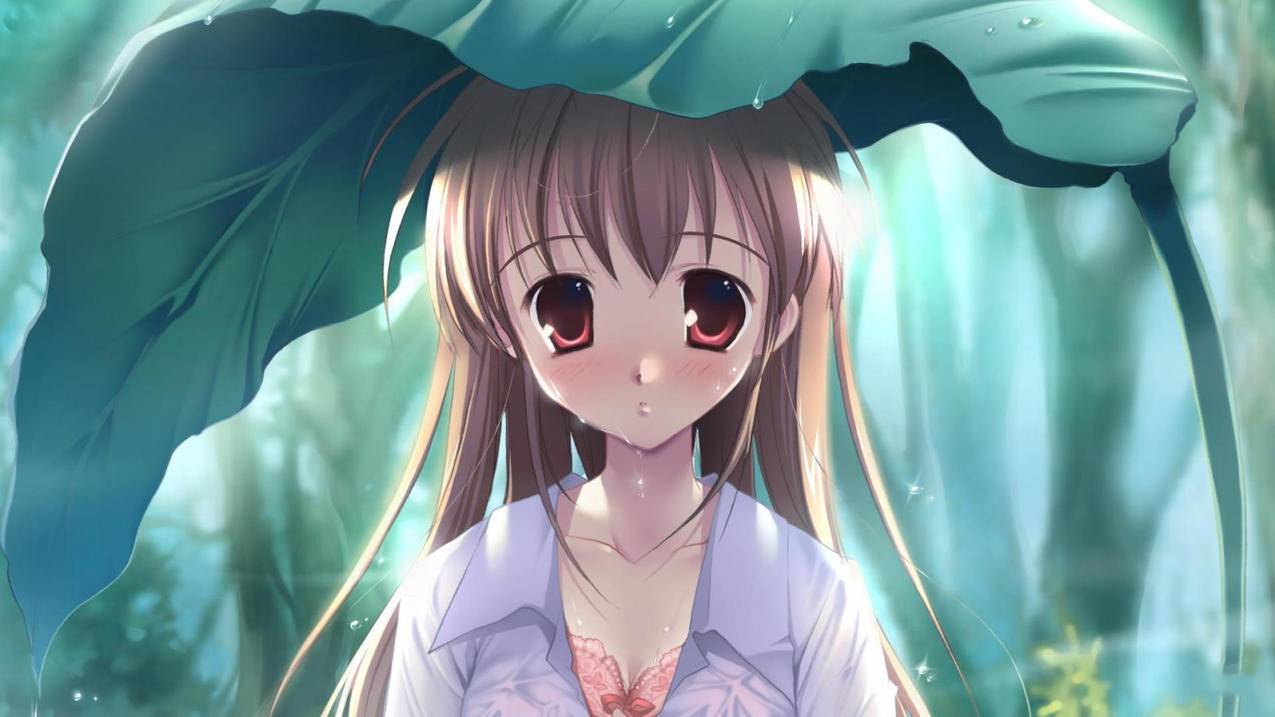 小红书如何发空白白 - 自助平台 - dy业务网