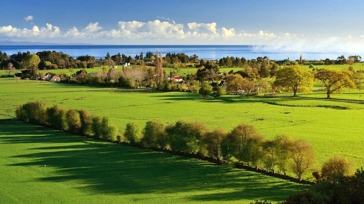 巨量千川如何查？ - 24小时业务商城 - 24小时下单平台