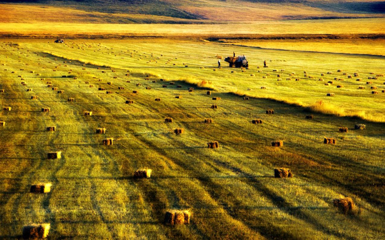 nba2konline2哈登后撤步教学_nba2konline2后撤步跳投教学 - Line相关 - 55dz账号网