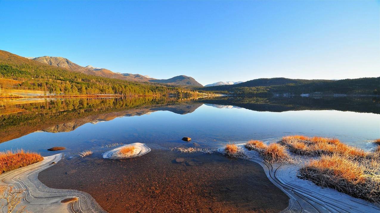 免费idc空间_IDC空间租赁 - 各区苹果ID - 55dz账号网