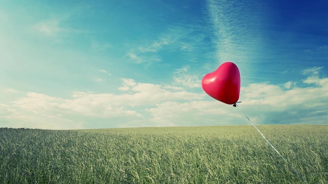 全屋定制橱柜避坑指南（2022最新） - Apple ID相关 - 55dz账号网