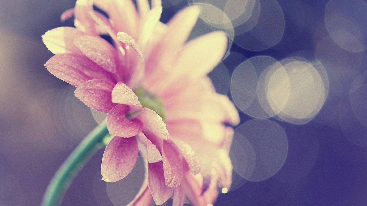 facebook广告开户打广告徐州百都田园_facebook广告投放怎么建站 - facebook相关 - 55dz账号网