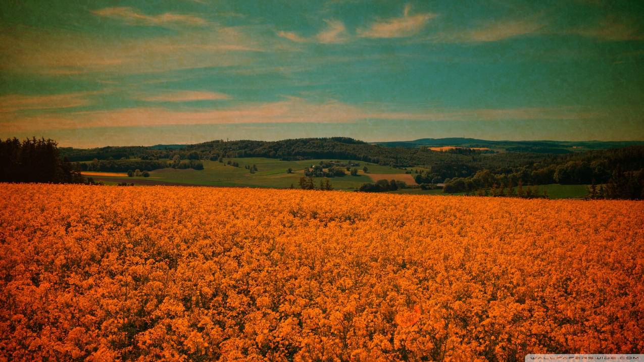 ins风装修宿舍效果图_ins风装修风格卧室 - INS相关 - 55dz账号网