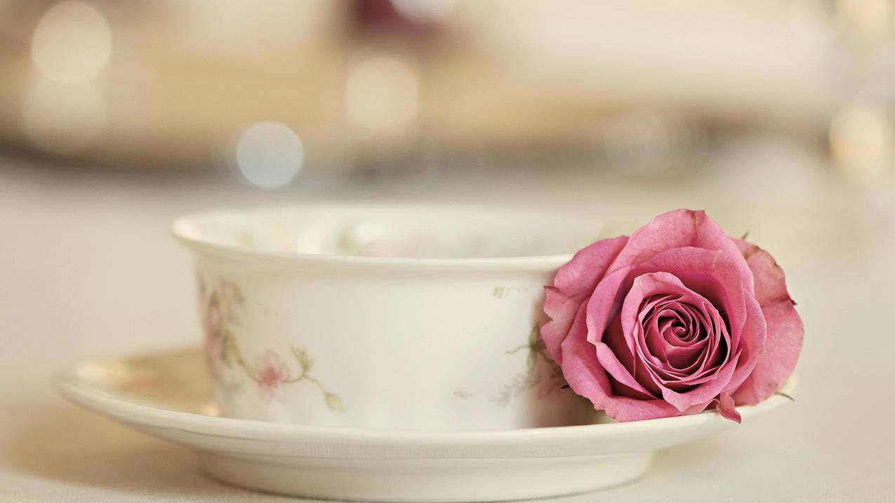 越南地区苹果id分享 - 各区苹果ID - 55dz账号网