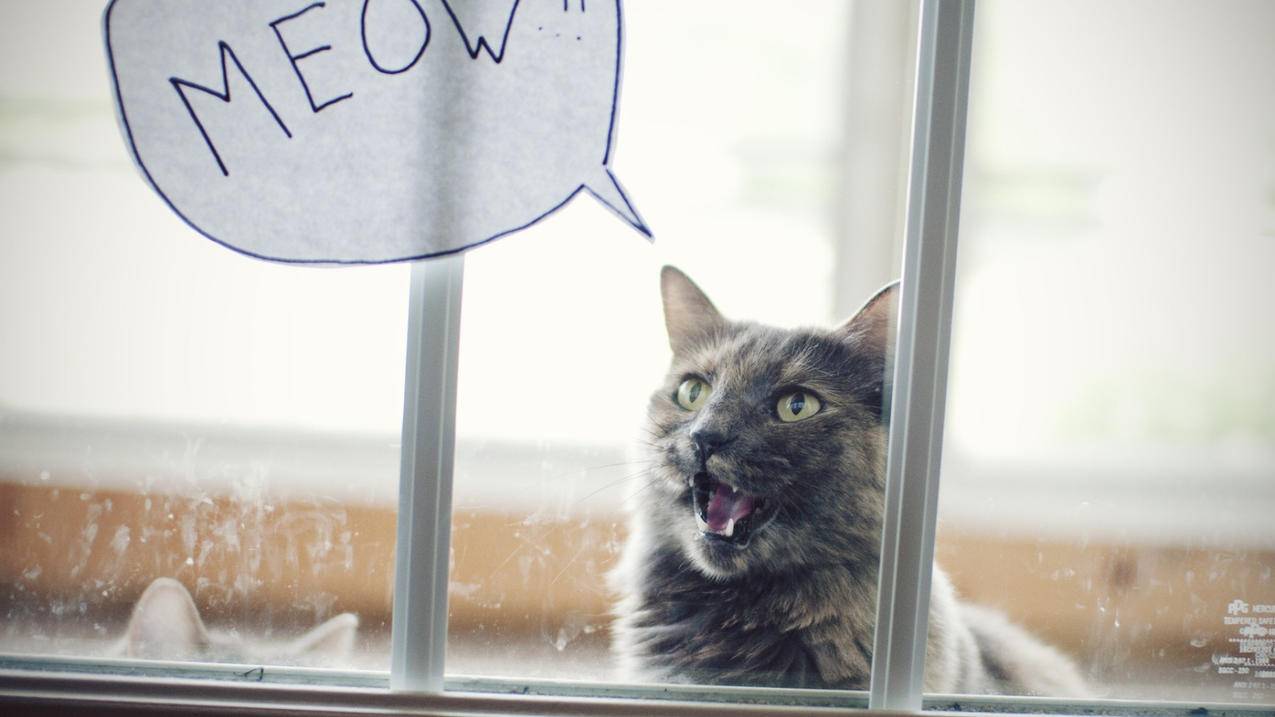 越南苹果id 账户恢复电话号码忘记了怎么办 - 各区苹果ID - 55dz账号网