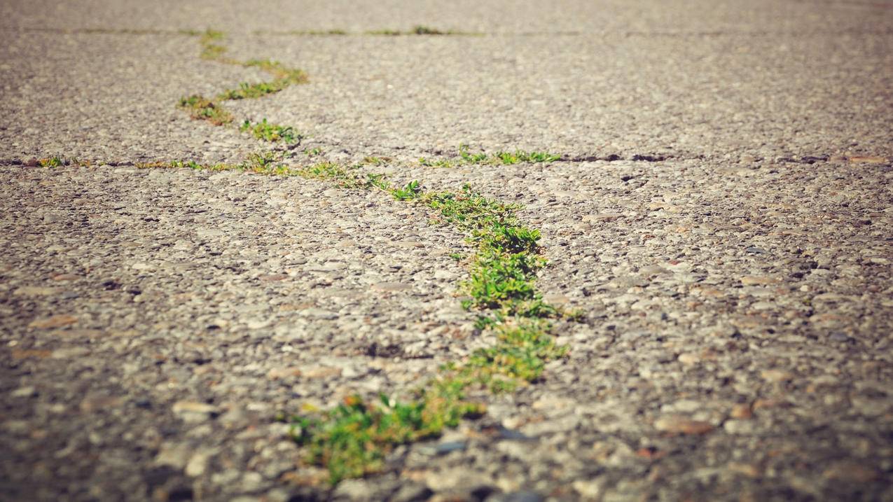 三国杀周年庆苹果版微信为什么在安卓登不上  ( 安卓版三国杀和苹果版三国杀账号通用吗安卓版三国杀 ) - 55dz账号网