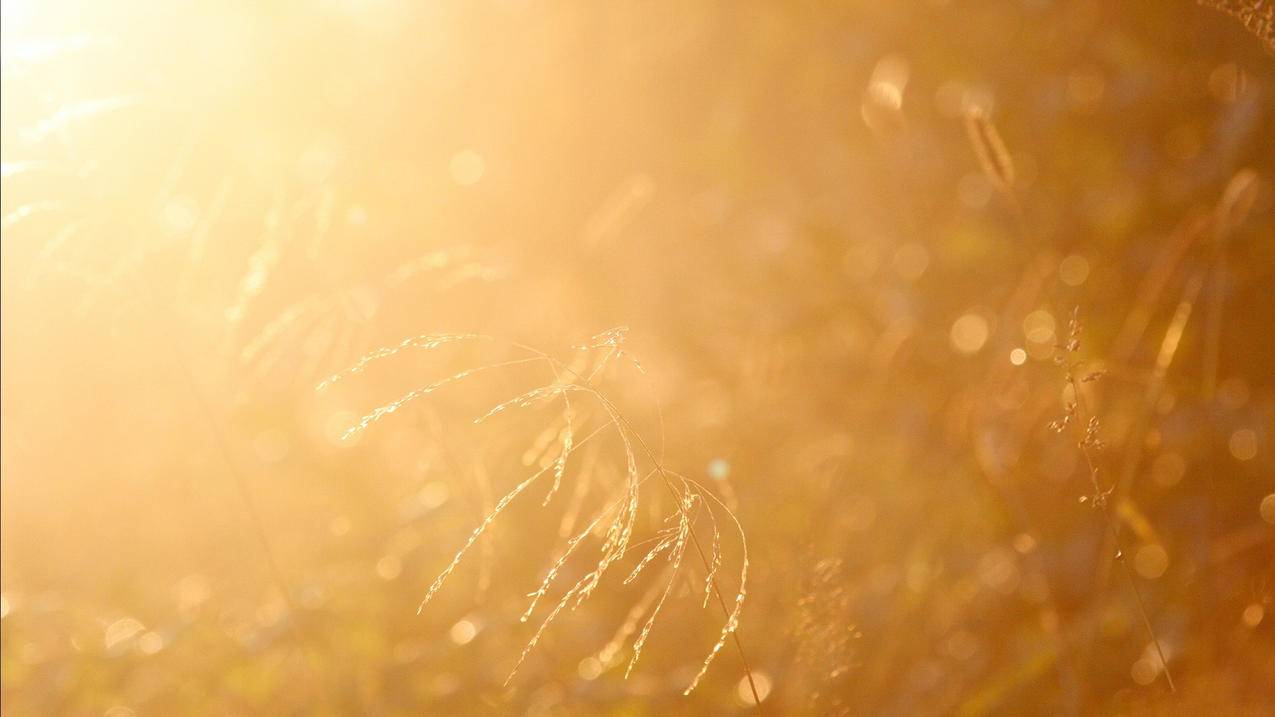 创建新的香港appleid有什么影响_appleid怎么注册香港地区的 - 香港苹果ID - 55dz账号网