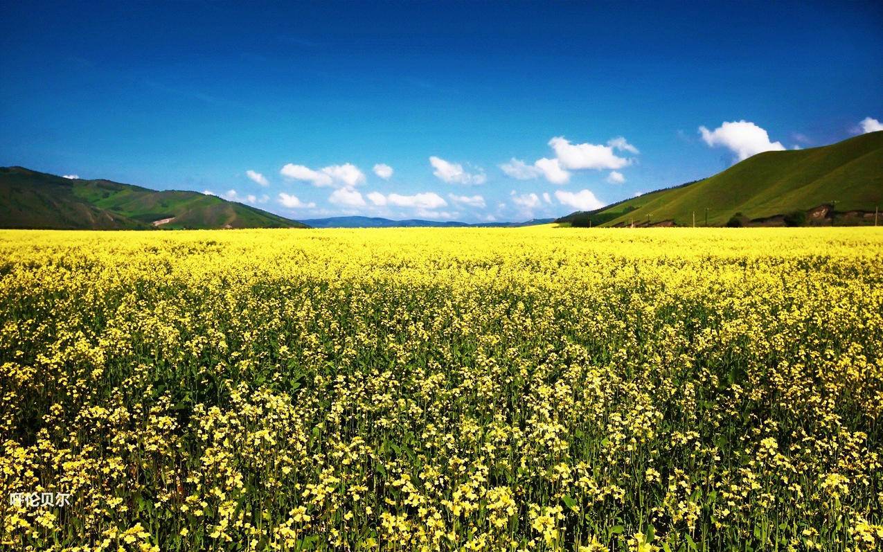 千川出价如何控流速？ - ks自助下单 - ks业务下单