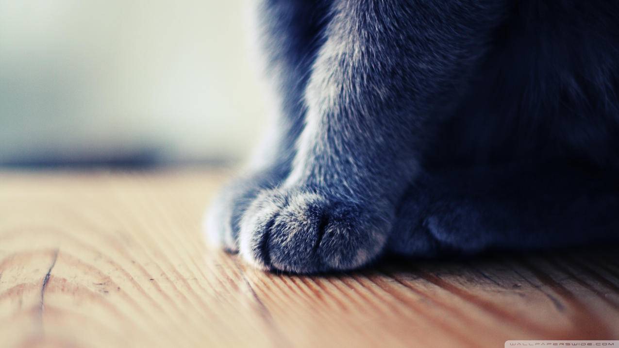 dy自助下单业务全天人气,领赞网站抖音_dy低价业务