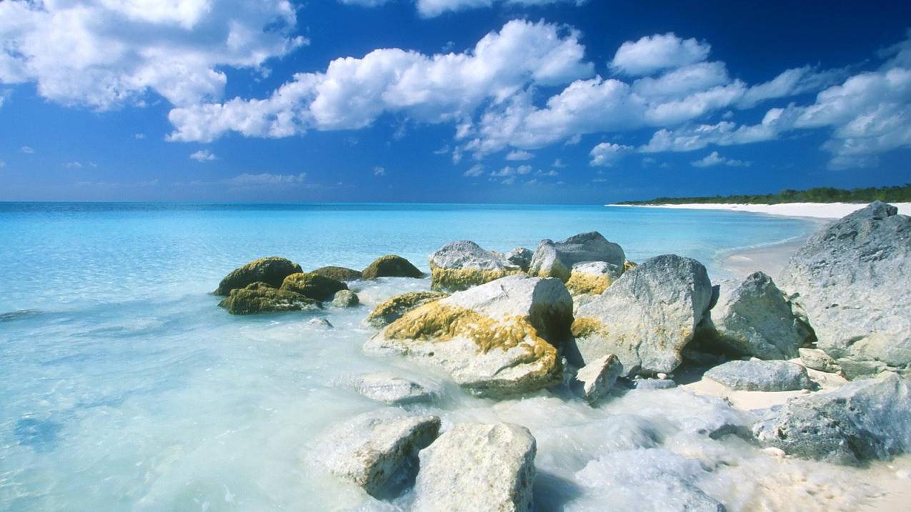 香港苹果id被锁定如何退出_香港苹果id被锁定如何退出来 - 香港苹果ID - 55dz账号网