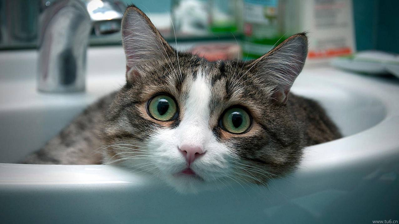 google账号添加付款方式_谷歌账号怎么付款方式 - google相关 - 55dz账号网