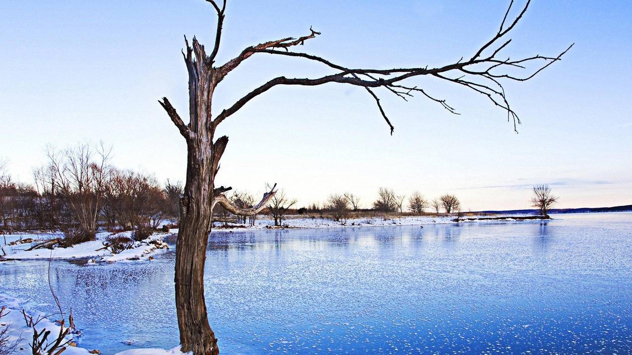 拼多多助力效果好吗？深度解析其助力机制与影响_助力群_拼多多助力|24小时砍价助力网|拼多多助力群