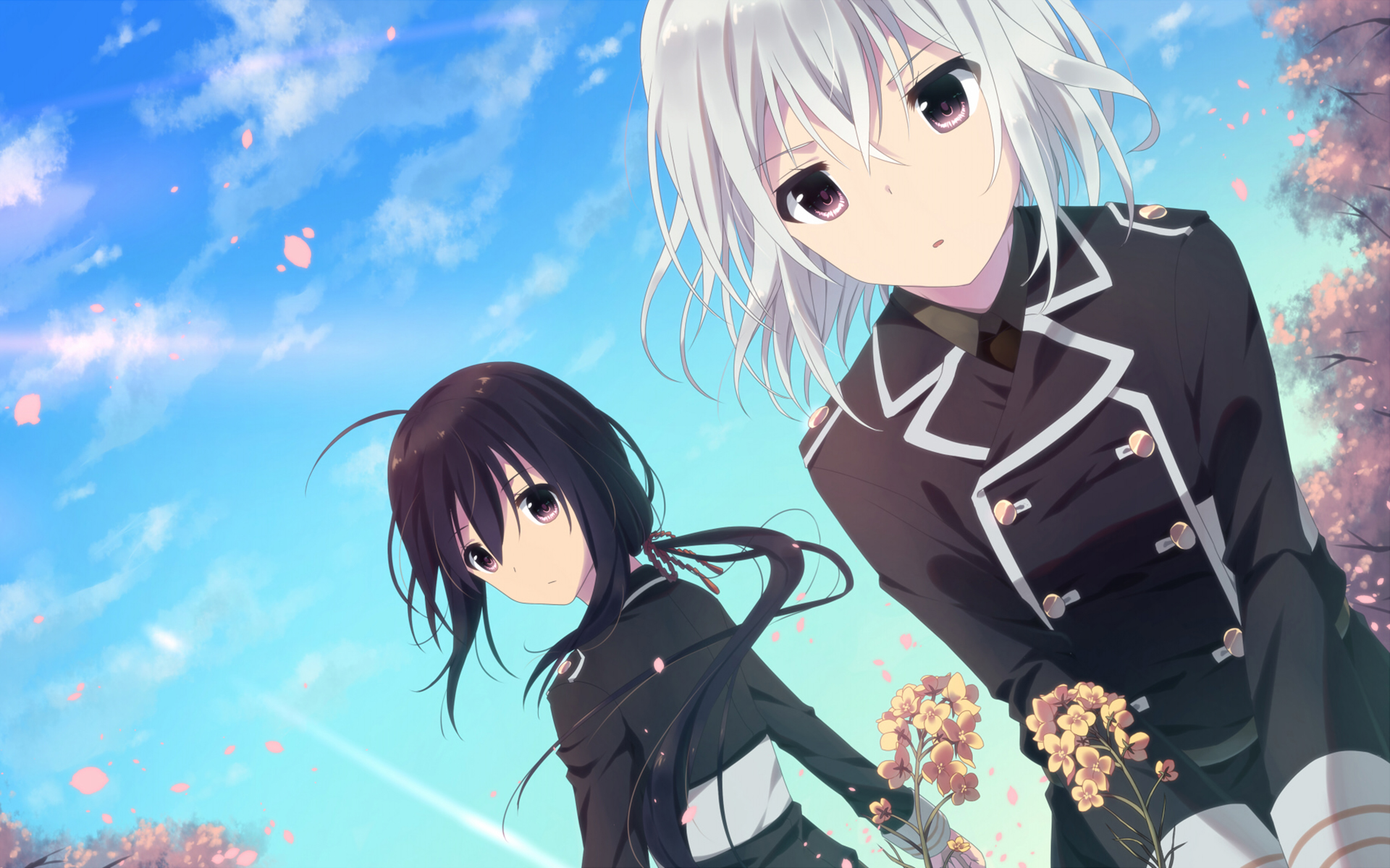 AppleTV4k如何看4kUHD原盘教程 - Apple ID相关 - 55dz账号网