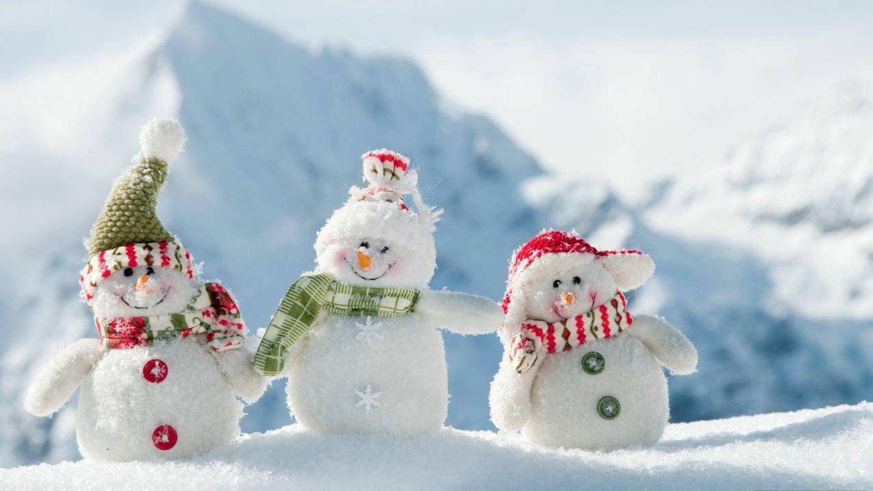 最新版本的qq手机版下载安装免费p_下载最新版手机版下载安装 - skype相关 - 55dz账号网