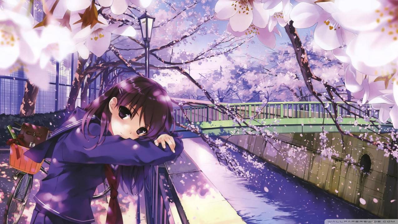 千川如何控制总预算？ - 低价业务 - dy业务网