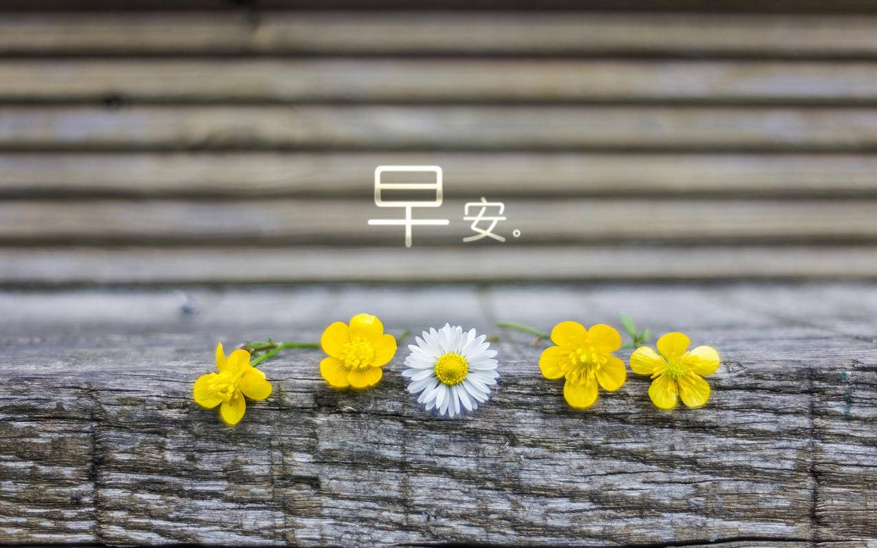 英语高中词根词缀记忆大全_高中词根词缀记忆法 - messenger相关 - 55dz账号网