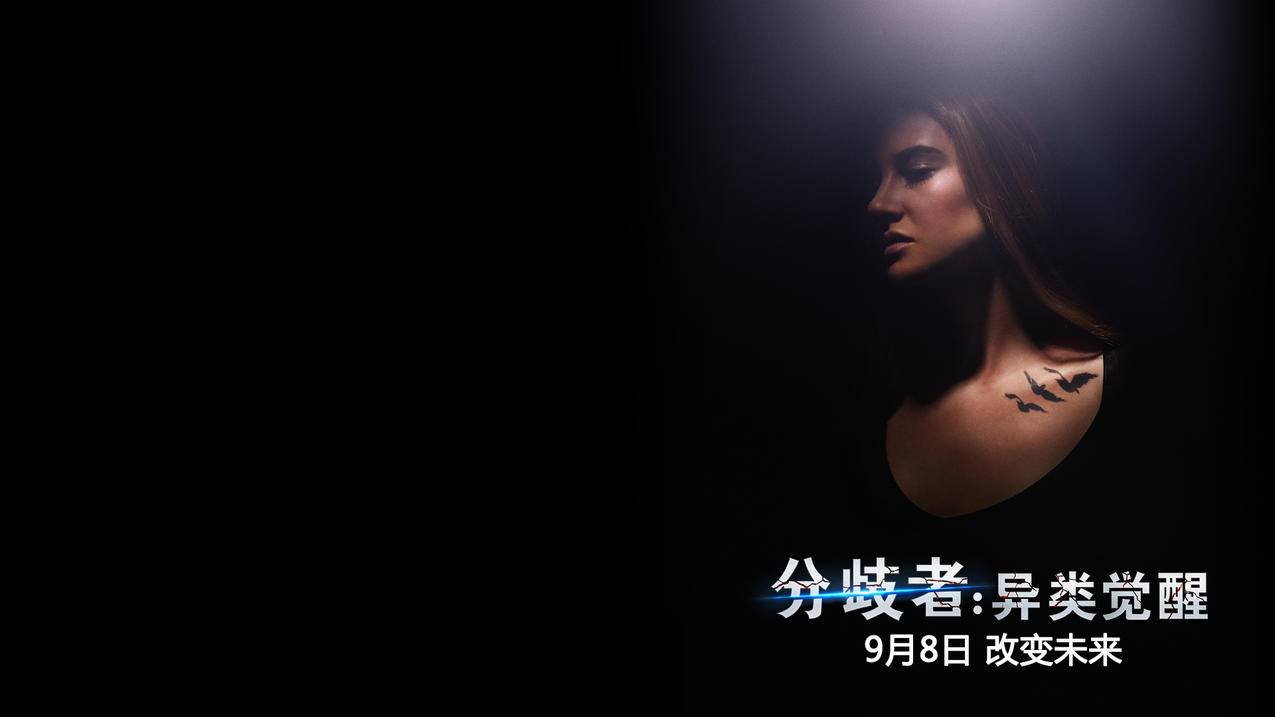 facebook怎么显示中文_facebook有中文显示 - facebook相关 - 55dz账号网