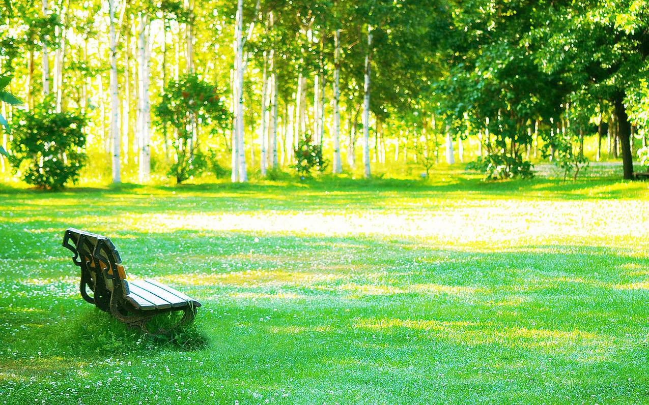 苹果商店tiktok怎么下载不了_苹果商店搜不到tiktok - 苹果APP下载 - 55dz账号网