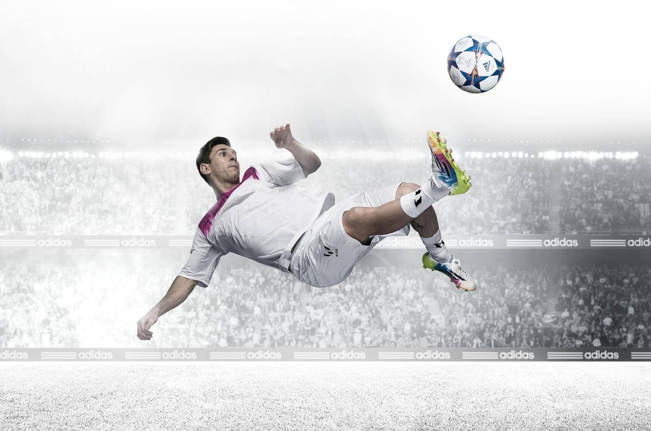 tiktok开店铺需要什么条件_tiktok小店怎么卖货 - tiktok相关 - 55dz账号网