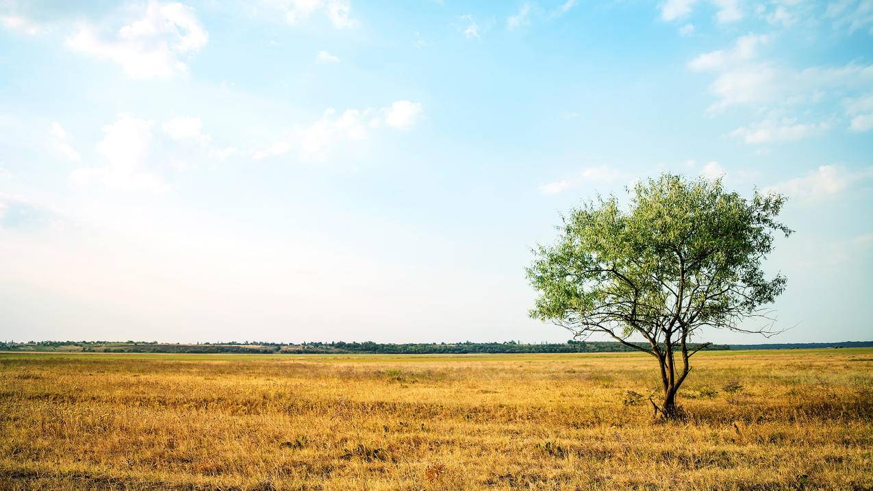 威尔胜clash系列_威尔胜clash100pro - clash相关 - 55dz账号网