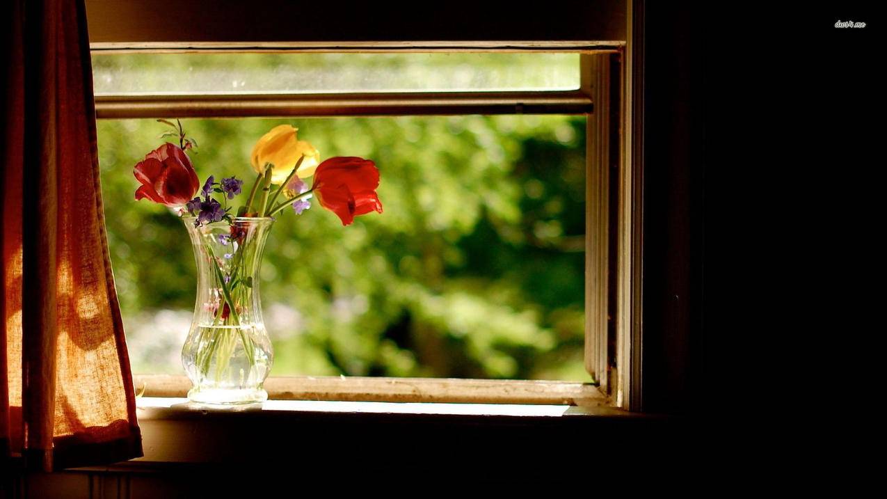 FIFAonline4主播专属邀请码_fifaonline4邀请好友 - Line相关 - 55dz账号网