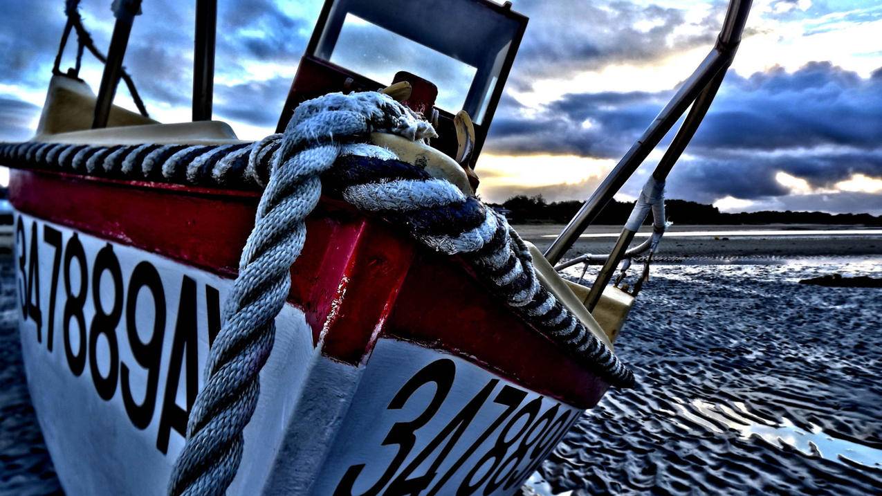 新手如何开千川店铺呢？ - ks自助下单 - ks业务下单