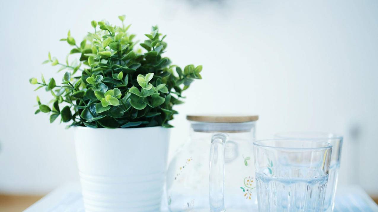 微信咋设置铃声图片_微信咋设置铃声图片视频 - 微信相关 - 55dz账号网