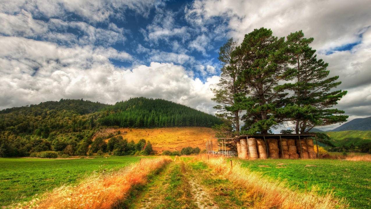 appleid怎么重新登录新账号_iphone怎么重新登录apple id - Apple ID相关 - 55dz账号网