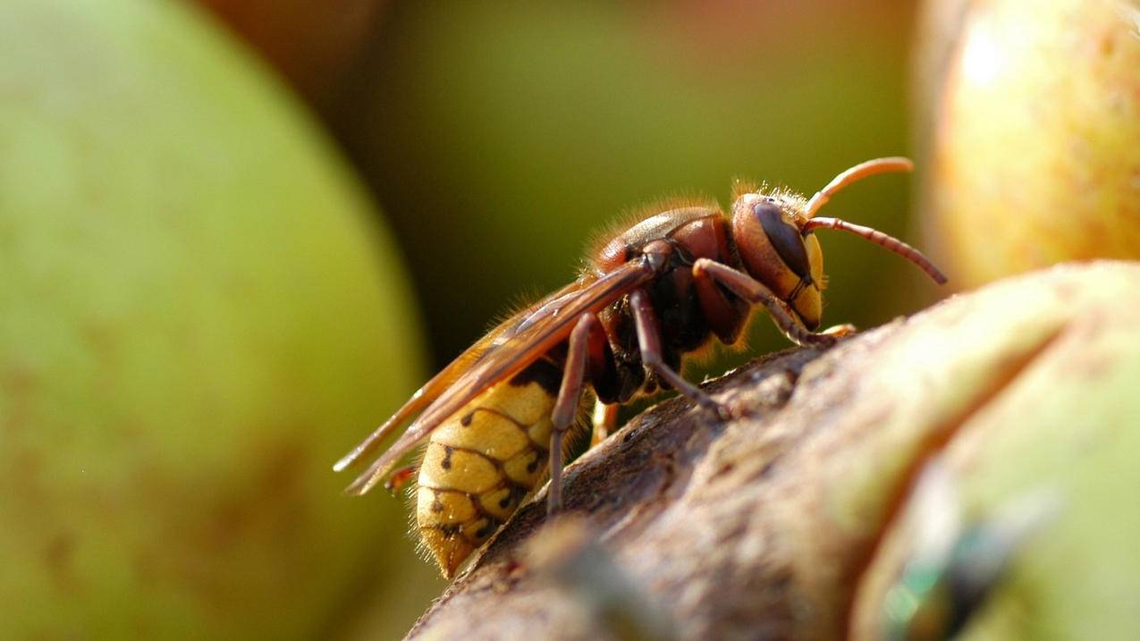 ins加速器节点怎么选_ins使用什么加速器 - INS相关 - 55dz账号网