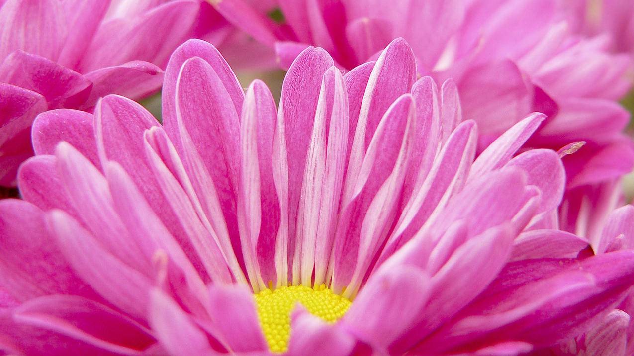 apple电子邮件格式怎么输 ， 苹果手机id的QQ格式是什么?  - 55dz账号网