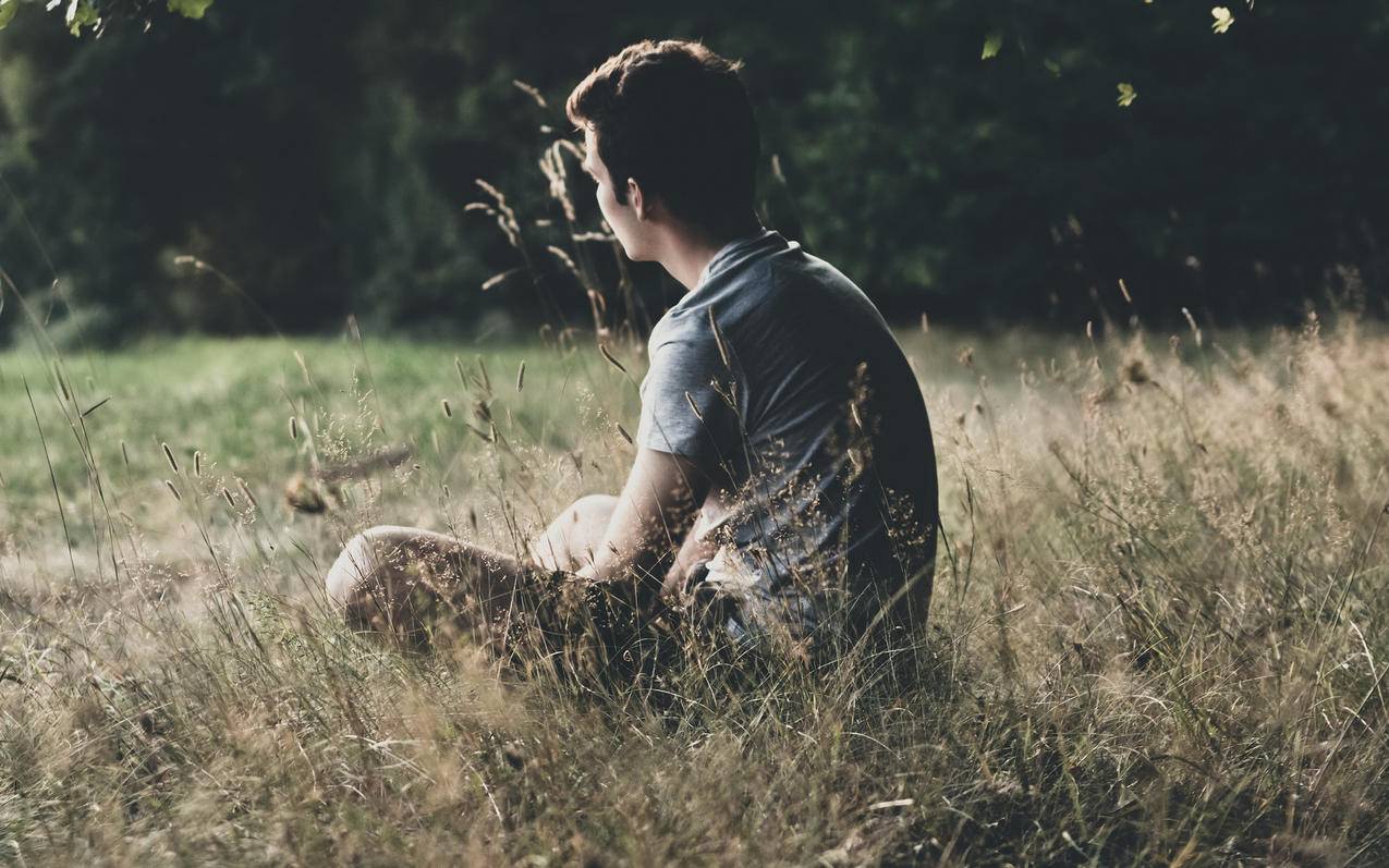 inclined翻译_inclined翻译中文 - Line相关 - 55dz账号网