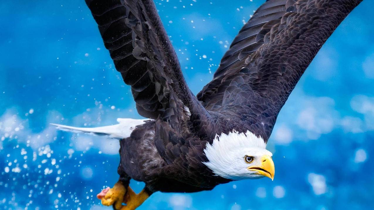 facebook取消赞对方知道吗_facebook点赞后取消会被发现吗 - facebook相关 - 55dz账号网