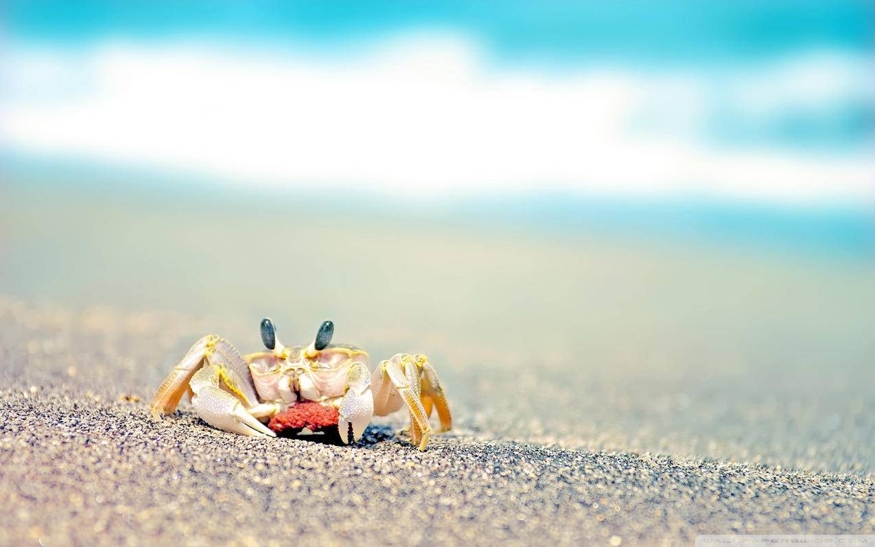 香港appleid用什么邮箱注册比较好_appleid可以用什么邮箱注册 - 香港苹果ID - 55dz账号网