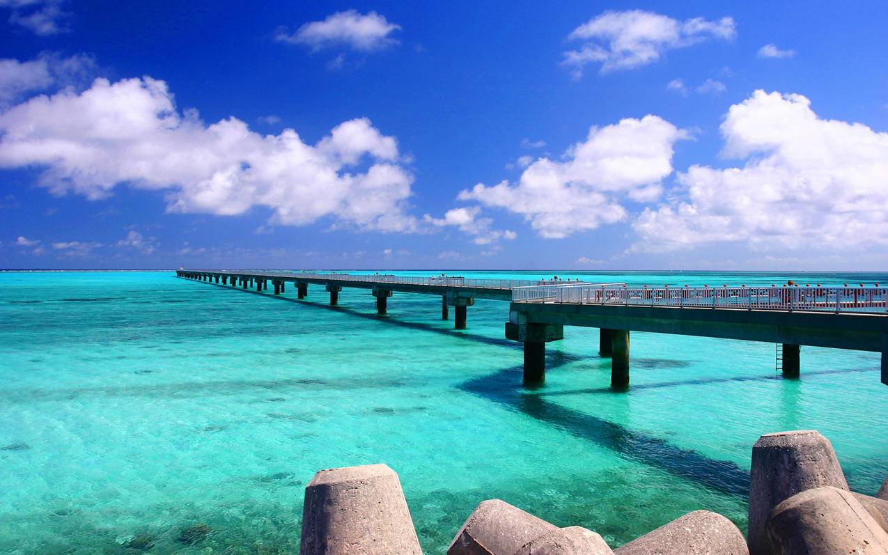 如何看千川账号权重？ - 低价业务 - dy业务网